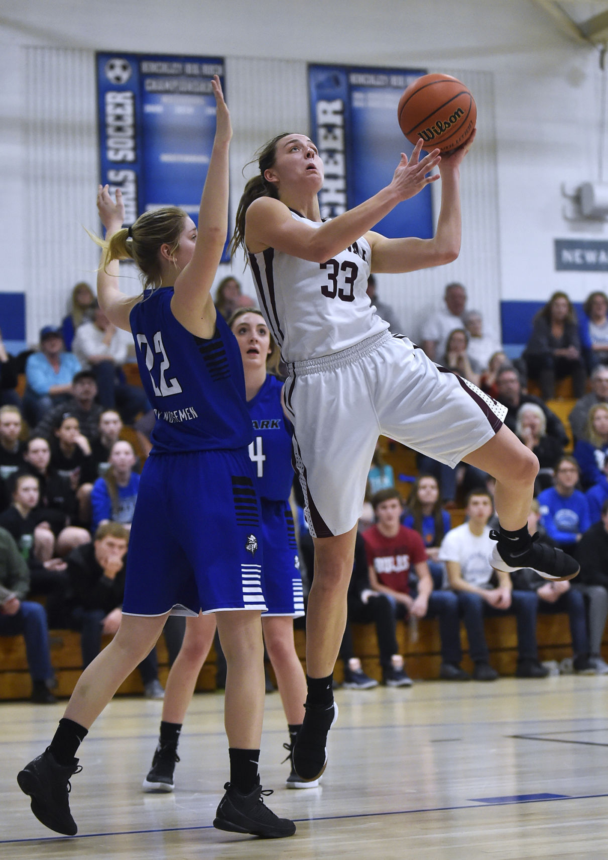 Class 1A Hinchley-Big Rock Sectional Final: Annawan vs. Newark